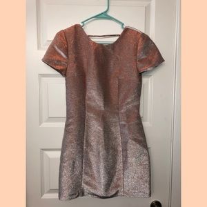 Express V-Cut Dress